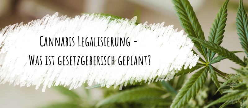 Cannabis Legalisierung - Was ist gesetzgeberisch geplant?